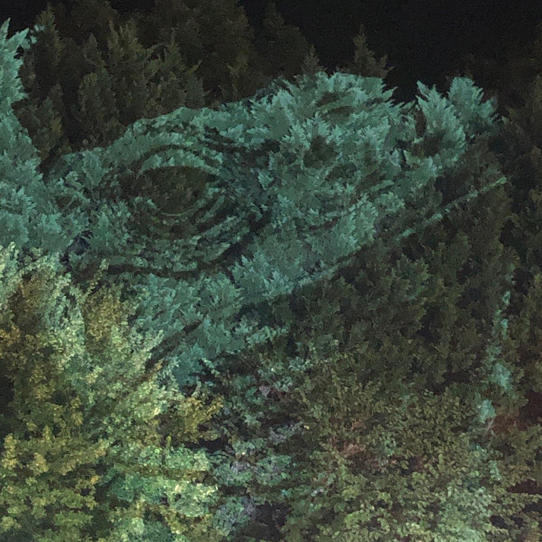 Unexpected Encounters Projection Mapping | Tree Mapping - Zilog80